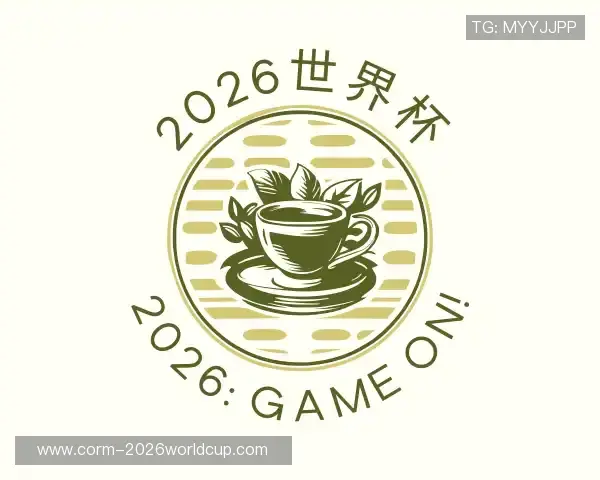 了解2026世界杯